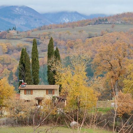 Agriturismo Mandrioli 普拉托韦基奥 外观 照片