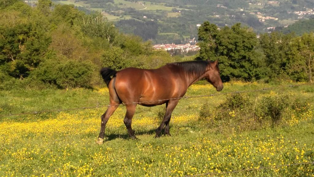 Agriturismo Mandrioli 普拉托韦基奥 外观 照片