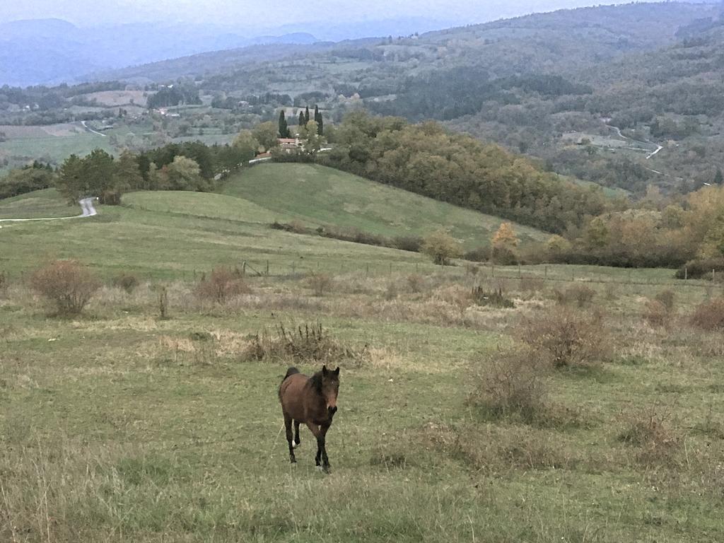 Agriturismo Mandrioli 普拉托韦基奥 外观 照片