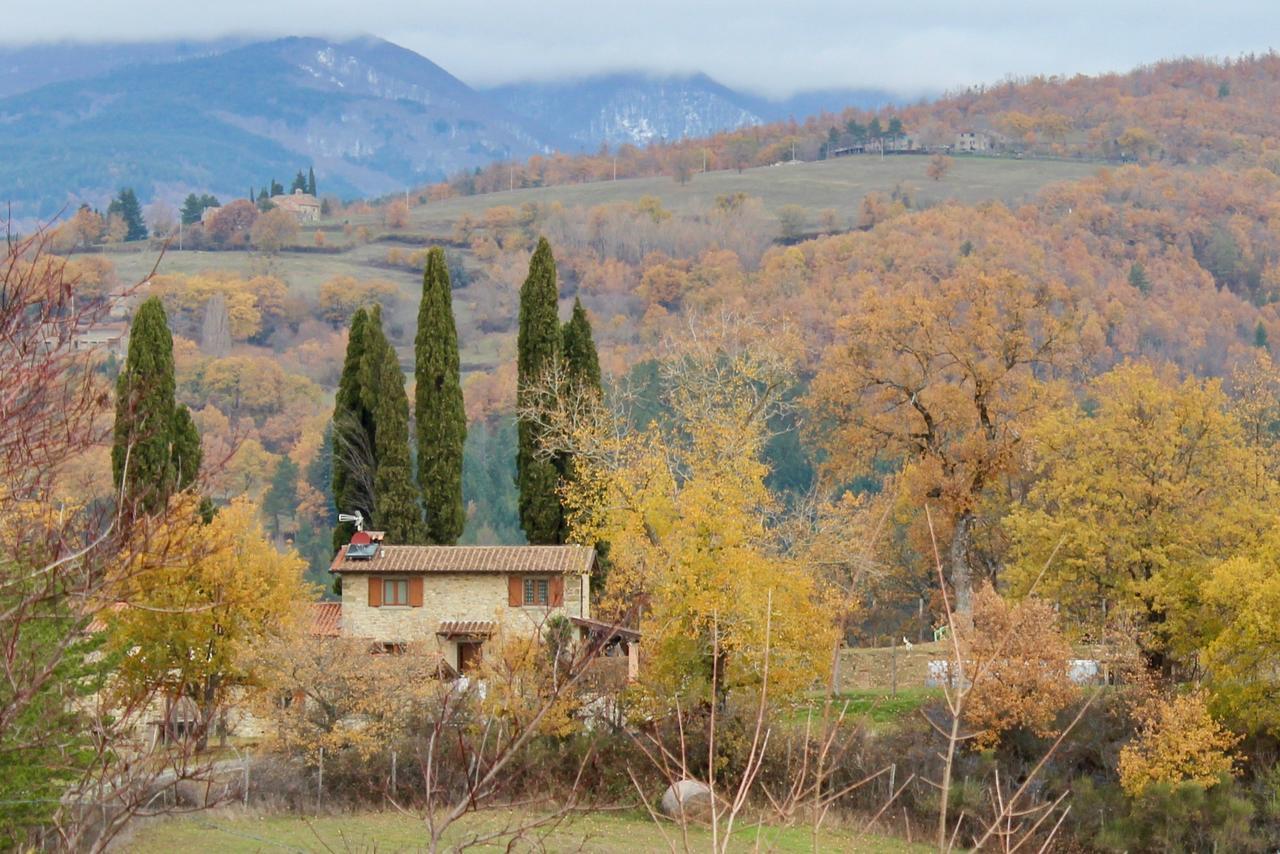 Agriturismo Mandrioli 普拉托韦基奥 外观 照片